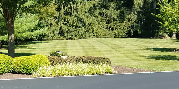 Turf and Lawn Care Experts For West Chester, PA