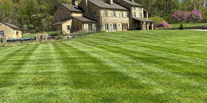 Turf and Lawn Care Services For West Chester, PA