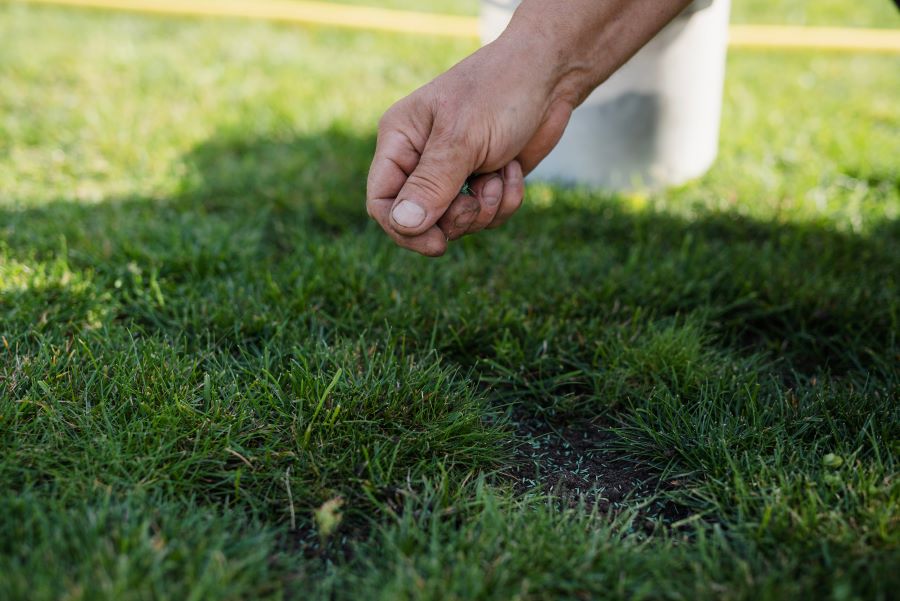 trusted overseeding service in Malvern, PA