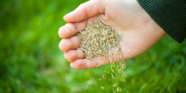 quality overseeding solutions in Pennsylvania