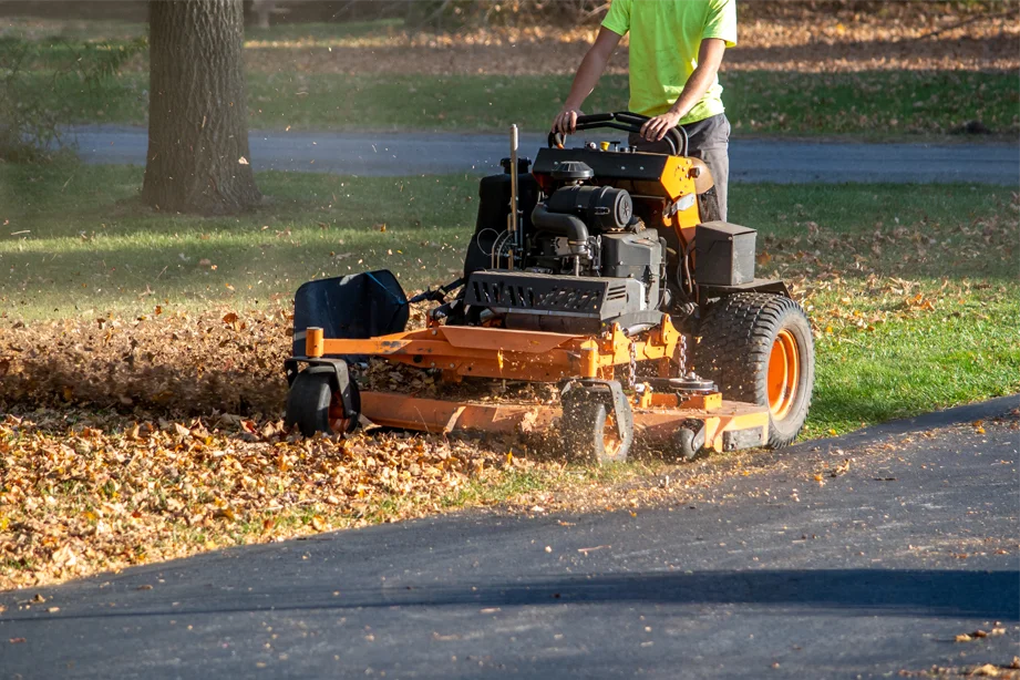 clean up local solutions
