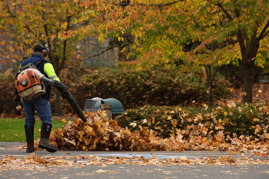 full clean up services